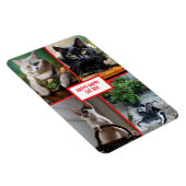 cat day  マグネット (右側)