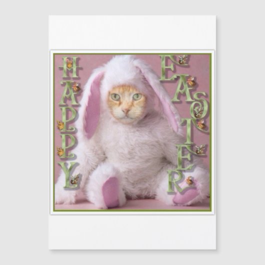 Cat Easter Bunny Claude Holiday Card (正面)