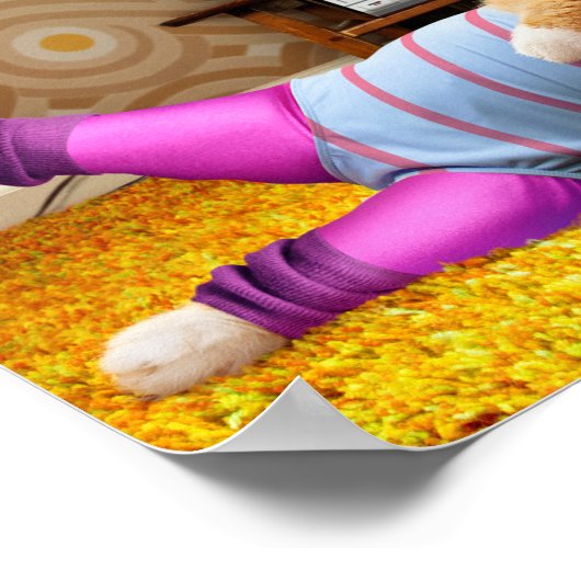 Cat Exercising ポスター (角)