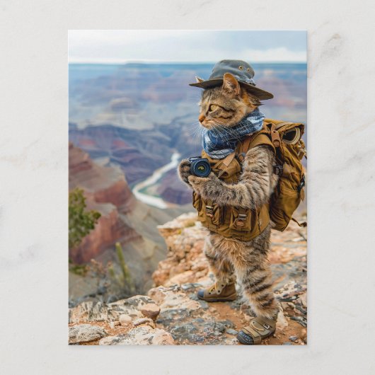 Cat Explorer at Grand Canyon Edge シーズンポストカード (正面)
