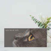 Cat Eye-Macro by Shirley Taylor (スタンド正面)