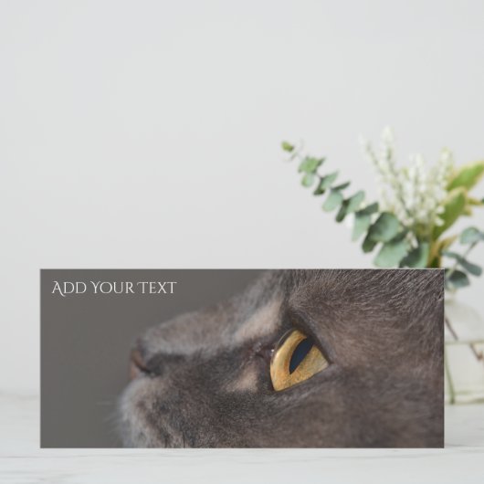 Cat Eye-Macro by Shirley Taylor (スタンド正面)