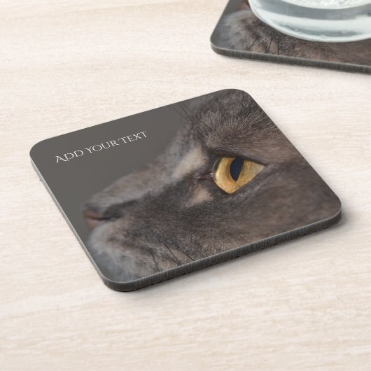 Cat Eye-Macro by Shirley Taylor コースター (左側)
