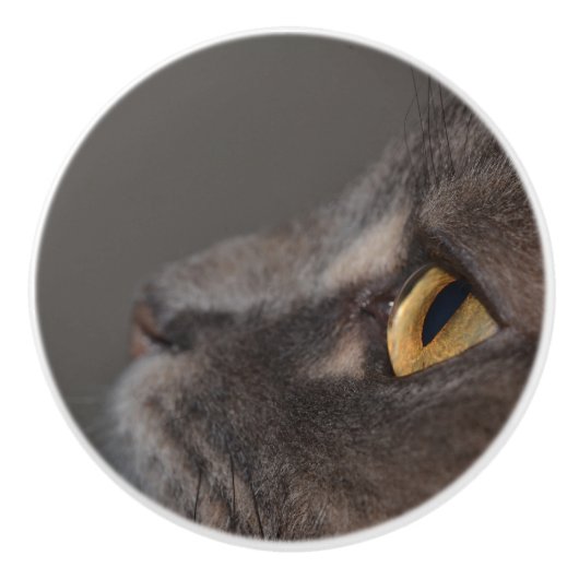 Cat Eye-Macro by Shirley Taylor セラミックノブ (正面)