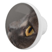 Cat Eye-Macro by Shirley Taylor セラミックノブ (右)