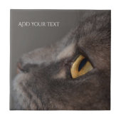 Cat Eye-Macro by Shirley Taylor タイル (正面)
