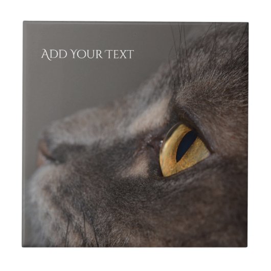 Cat Eye-Macro by Shirley Taylor タイル (正面)