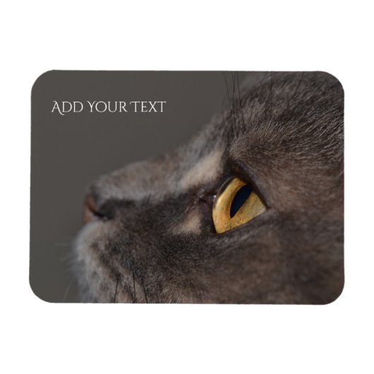 Cat Eye-Macro by Shirley Taylor マグネット (横)