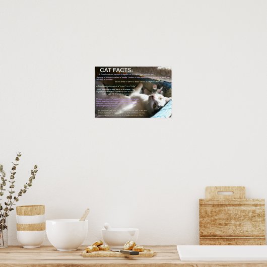 Cat facts 2 ポスター (キッチン)