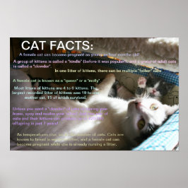 Cat facts 2 ポスター