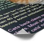 Cat facts 3 ポスター (角)