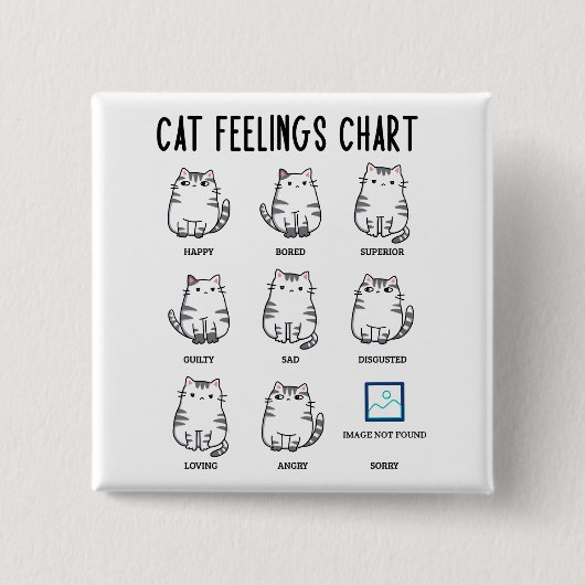 Cat Feelings Chart 缶バッジ (正面)