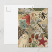 Cat Floral Collage Pattern – Cute Artistic Design シーズンポストカード (正面/裏面)