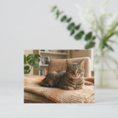 Cat Forever Home Announcement  ポストカード (スタンド正面)