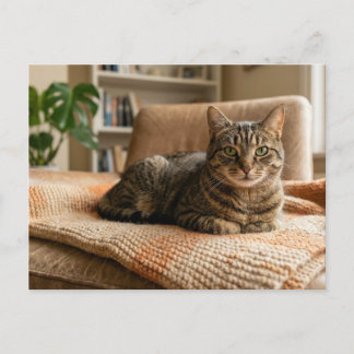 Cat Forever Home Announcement  ポストカード