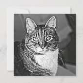 Cat Graphics by Miriam Kilmer of risingdove.com (裏面)