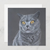 Cat Greeting card.  シーズンカード (正面/裏面)