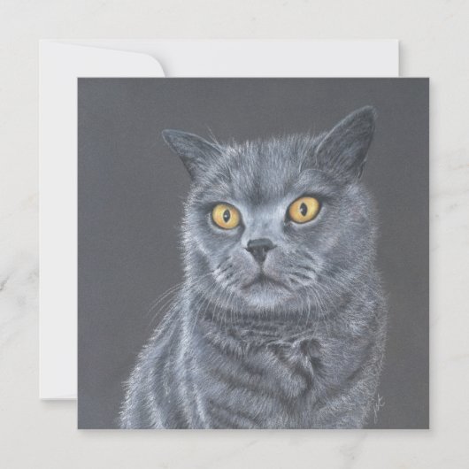 Cat Greeting card.  シーズンカード (正面)