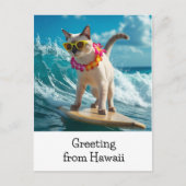 Cat Greeting from Hawaiiサーフィンon surf board ポストカード (正面)