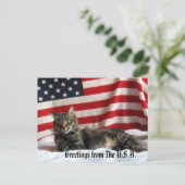 Cat Greetings from the USA Postcrossing ポストカード (スタンド正面)