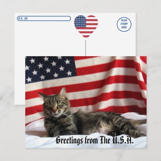 Cat Greetings from the USA Postcrossing ポストカード (正面/裏面)