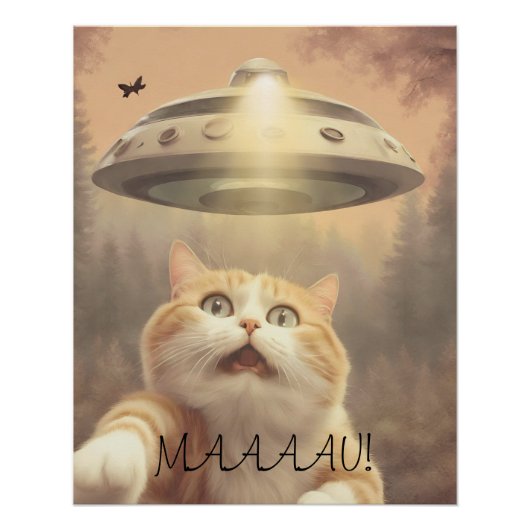 Cat I Believe UFO Wall Poster Art ポスター (正面)
