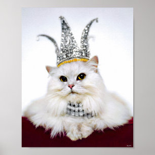 Cat in a Crown ポスター