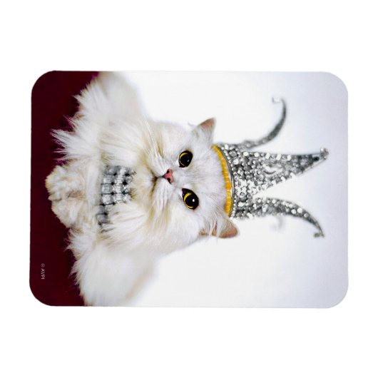 Cat in a Crown マグネット (横)