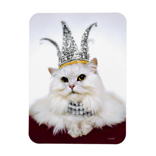 Cat in a Crown マグネット (縦)