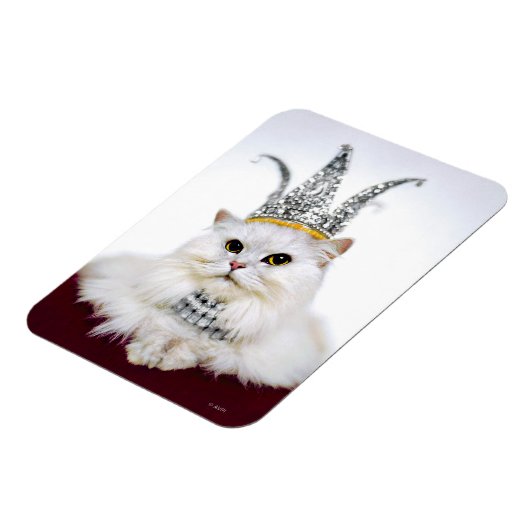 Cat in a Crown マグネット (左側)