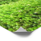 Cat in a Window  ポスター (角)