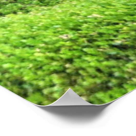 Cat in a Window  ポスター (角)