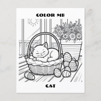 Cat In Basket Color Me Coloring Pagesカスタム チラシ
