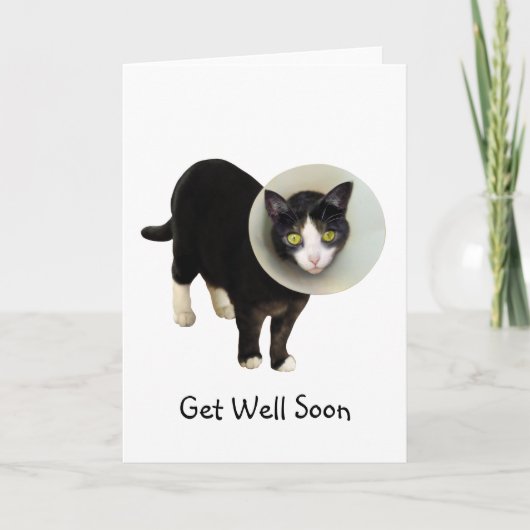 Cat in Cone Get Well Card カード (正面)