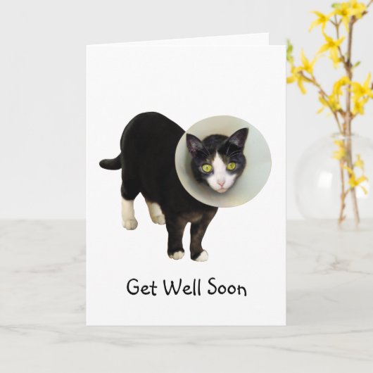 Cat in Cone Get Well Card カード (黄色い花)
