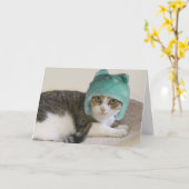 Cat in Hat誕生日（フォーカスによる原因） カード (黄色い花)