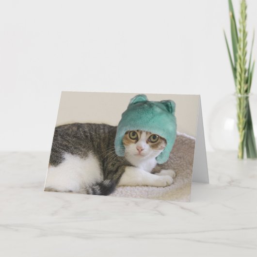 Cat in Hat誕生日（フォーカスによる原因） カード (正面)