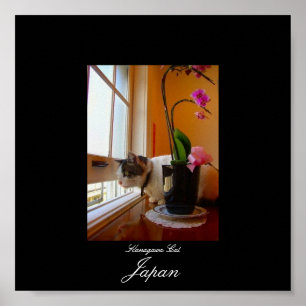 Cat in Kanagawa, Japan ポスター