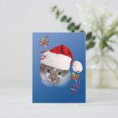 Cat in Santa Hatポストカード シーズンポストカード (スタンド正面)