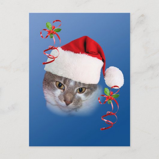 Cat in Santa Hatポストカード シーズンポストカード (正面)