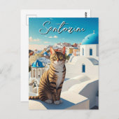 Cat in Santorini Greece Cyclades Travel ポストカード (正面/裏面)