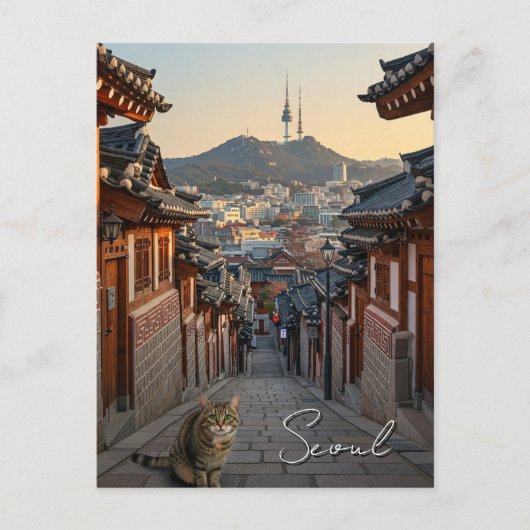 Cat in Seoul Bukchon South ポストカード (正面)