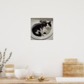 Cat in sink ポスター (キッチン)