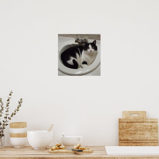 Cat in sink ポスター (キッチン)