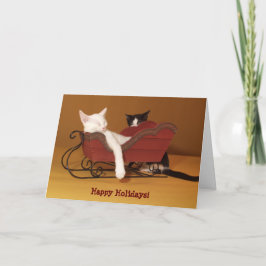 Cat in Sledユーモアのクリスマスカード シーズンカード