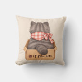 Cat in The Box クッション (正面)