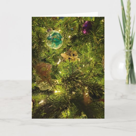 Cat In The Christmas Tree Christmas Card シーズンカード (正面)