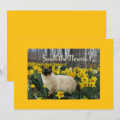 Cat in the Daffodil Flowers シーズンカード (正面/裏面)