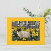 Cat in the Daffodil Flowers シーズンカード (スタンド正面)