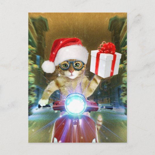 Cat in the Santa Claus hat delivers Christmas gift ポストカード (正面)